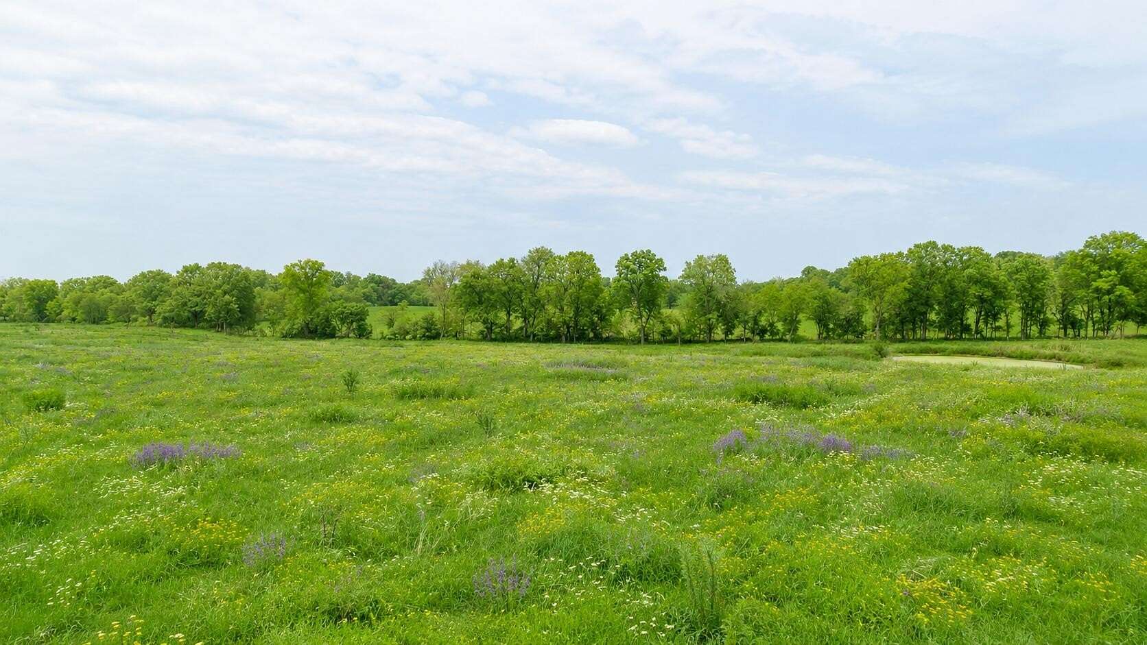 41 Acres of Agricultural & Residential Land for Sale in Alton, Missouri