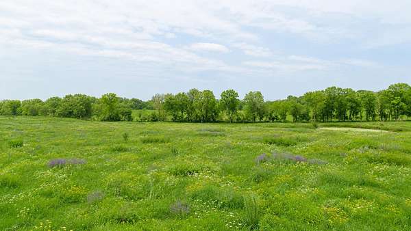 41 Acres of Agricultural & Residential Land for Sale in Alton, Missouri