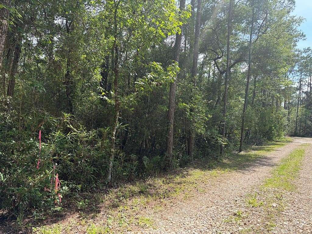 2.47 Acres of Residential Land for Sale in Sopchoppy, Florida