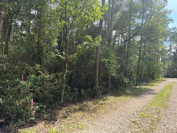 2.47 Acres of Residential Land for Sale in Sopchoppy, Florida