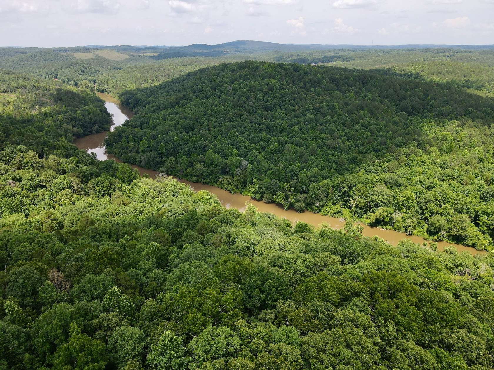40 Acres of Recreational & Residential Land for Sale in Delta, Alabama