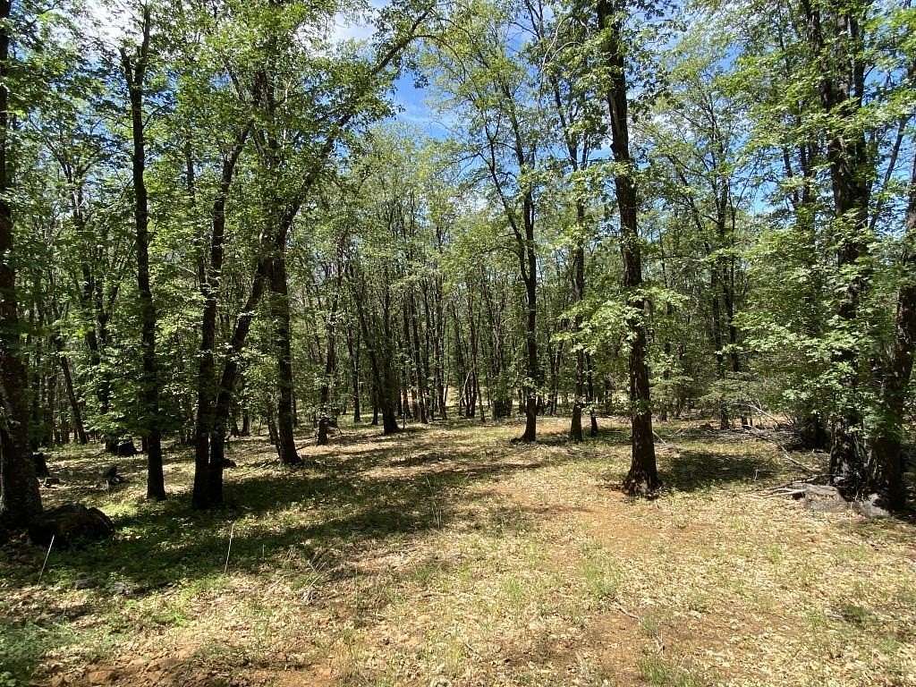 5.35 Acres of Residential Land for Sale in Weed, California