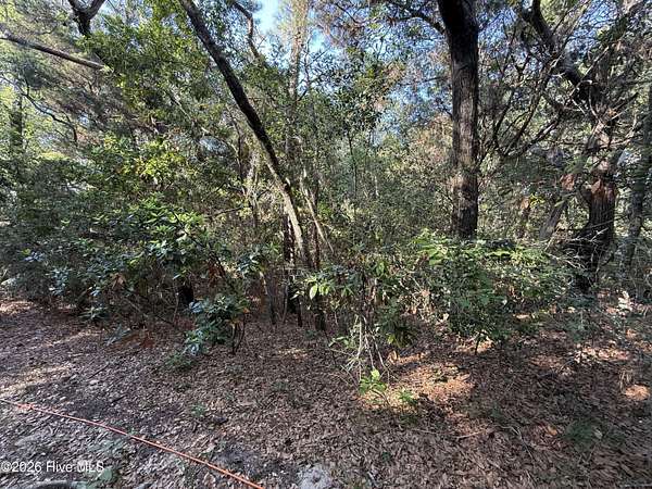 0.23 Acres of Residential Land for Sale in Bald Head Island, North Carolina
