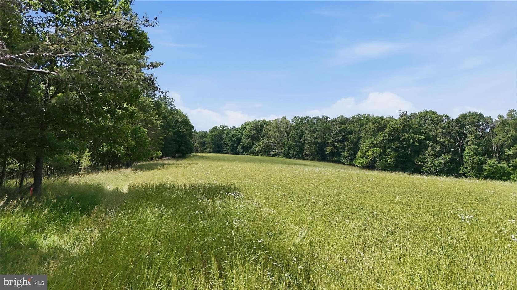 17.6 Acres of Recreational & Residential Land for Sale in Berkeley Springs, West Virginia