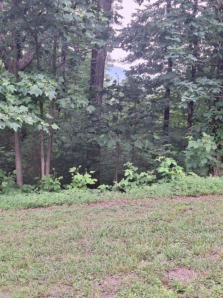 1.7 Acres of Residential Land for Sale in Morganton, Georgia