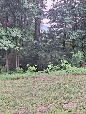 1.7 Acres of Residential Land for Sale in Morganton, Georgia