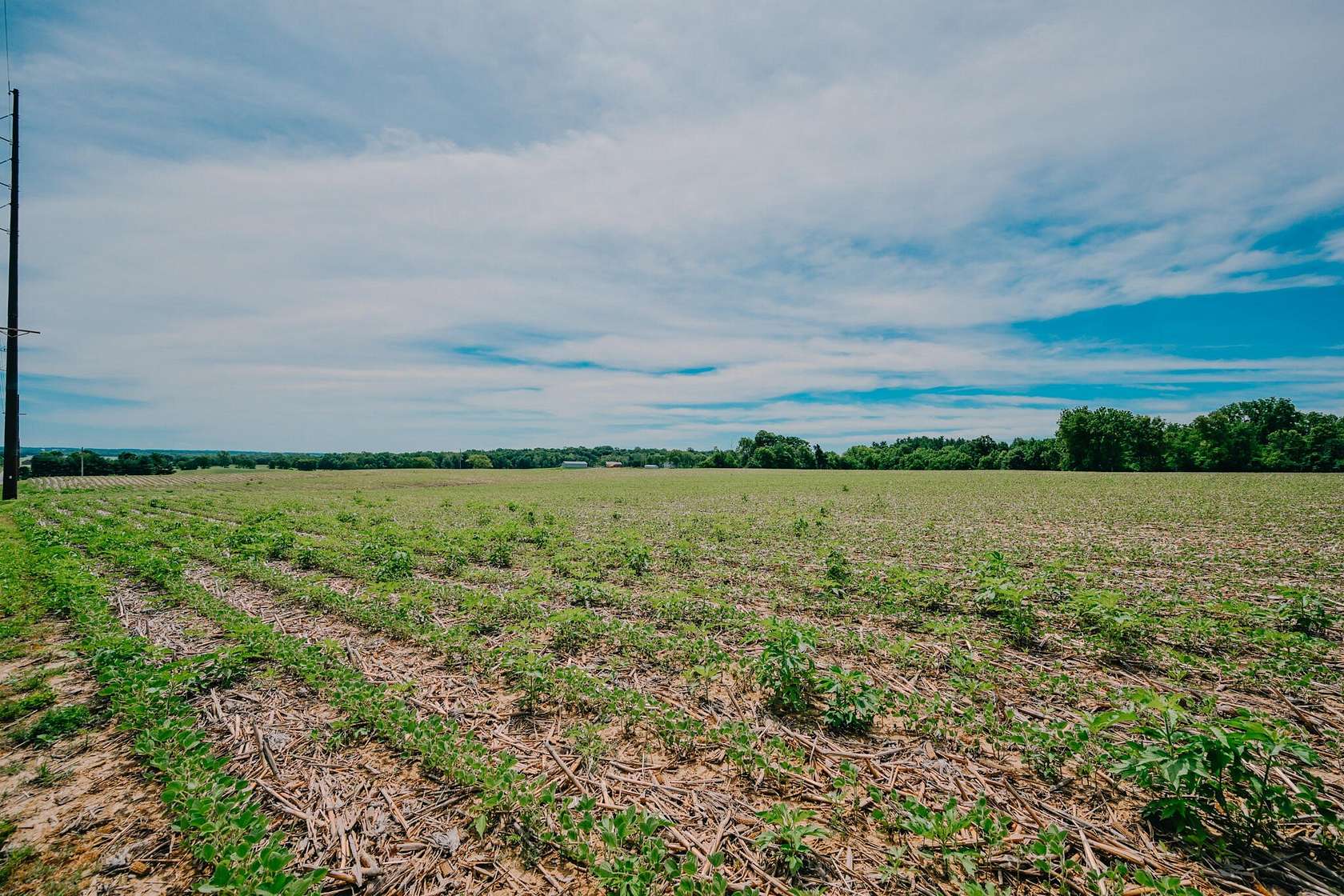 48.4 Acres of Land for Sale in Urbana, Ohio