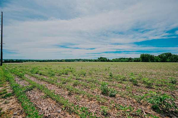 48.4 Acres of Land for Sale in Urbana, Ohio