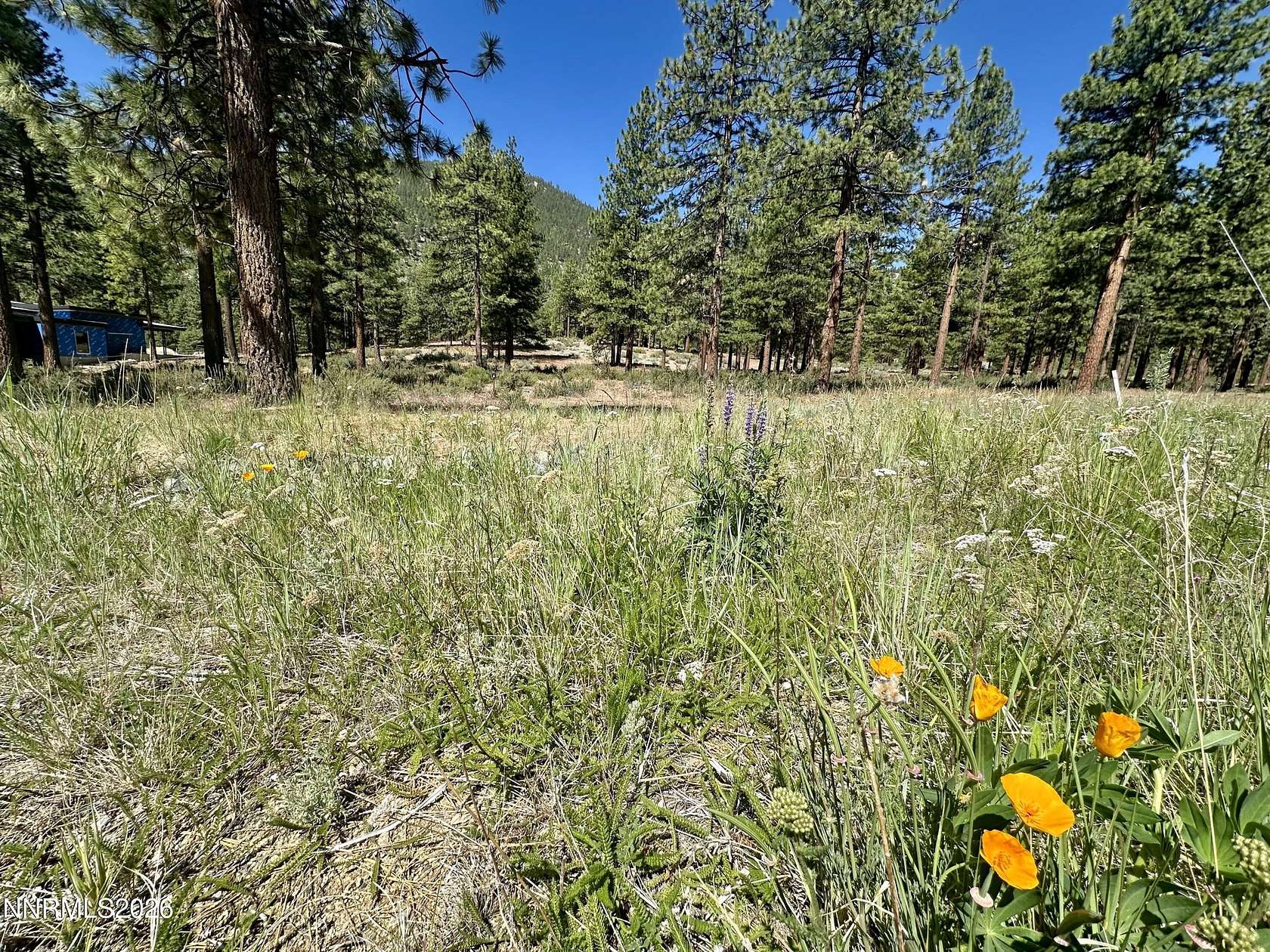 0.87 Acres of Residential Land for Sale in Carson City, Nevada