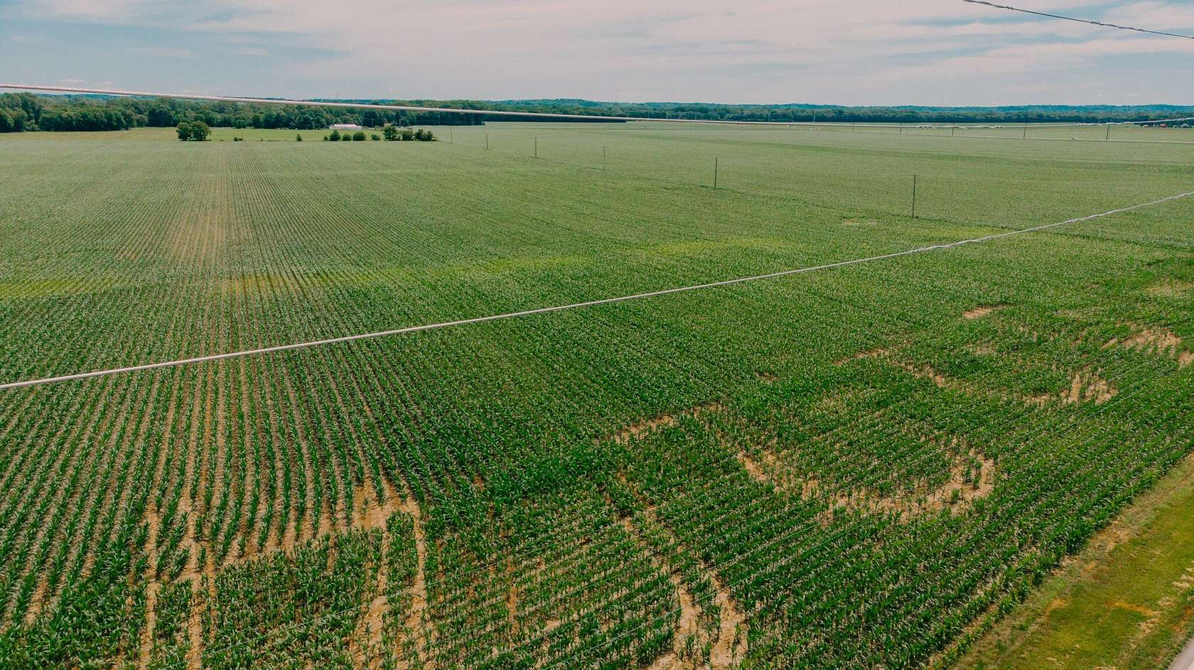50.9 Acres of Agricultural Land for Sale in Urbana, Ohio