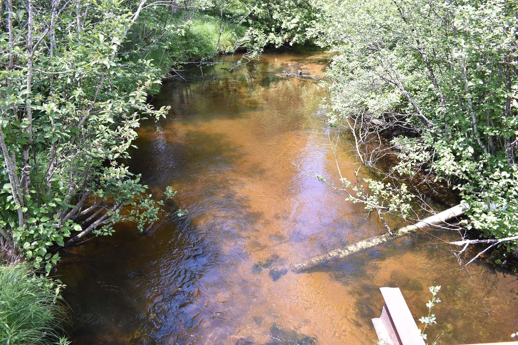 40 Acres of Recreational Land for Sale in Chase, Michigan