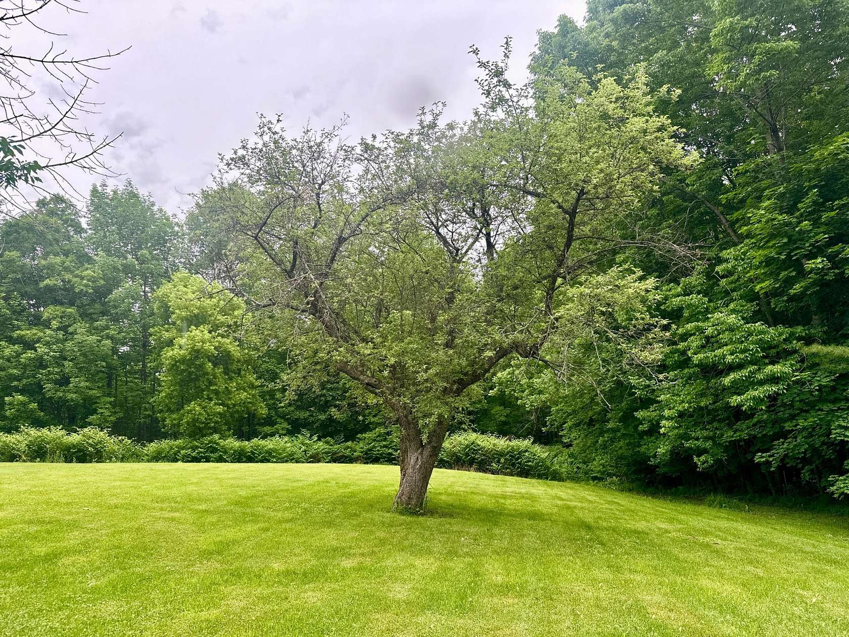 0.47 Acres of Residential Land for Sale in Dover-Foxcroft, Maine