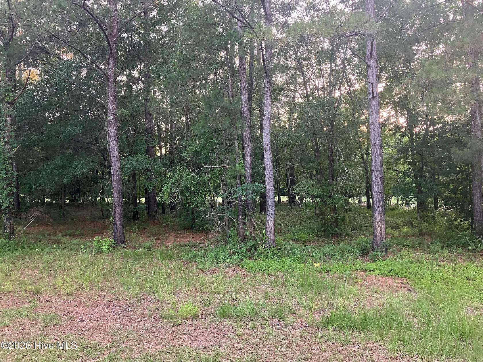 0.64 Acres of Residential Land for Sale in Wallace, North Carolina