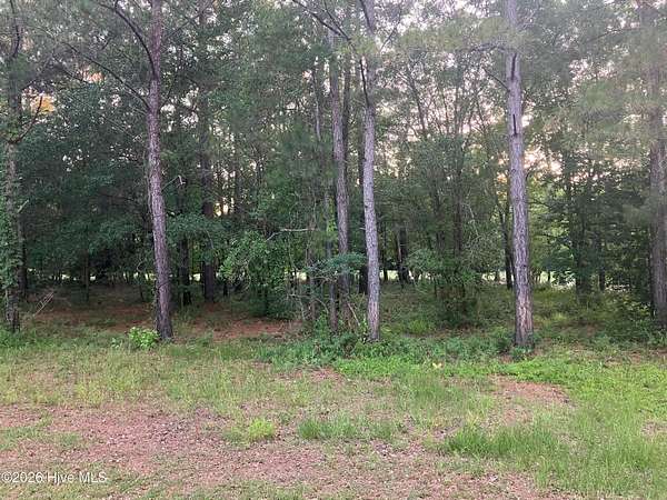 0.64 Acres of Residential Land for Sale in Wallace, North Carolina
