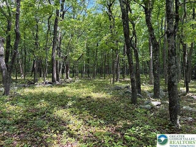1 Acre of Residential Land for Sale in Jim Thorpe, Pennsylvania