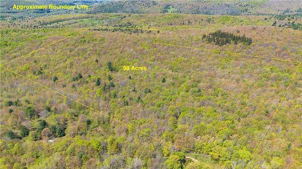 97.7 Acres of Recreational & Residential Land for Sale in Franklin, New York