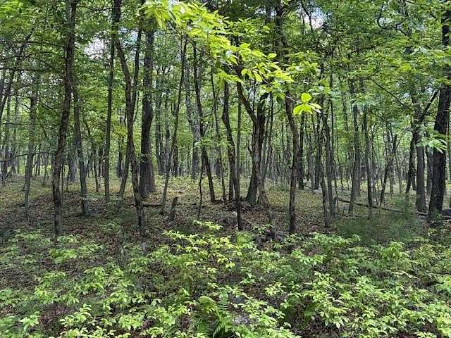 1 Acre of Residential Land for Sale in Jim Thorpe, Pennsylvania