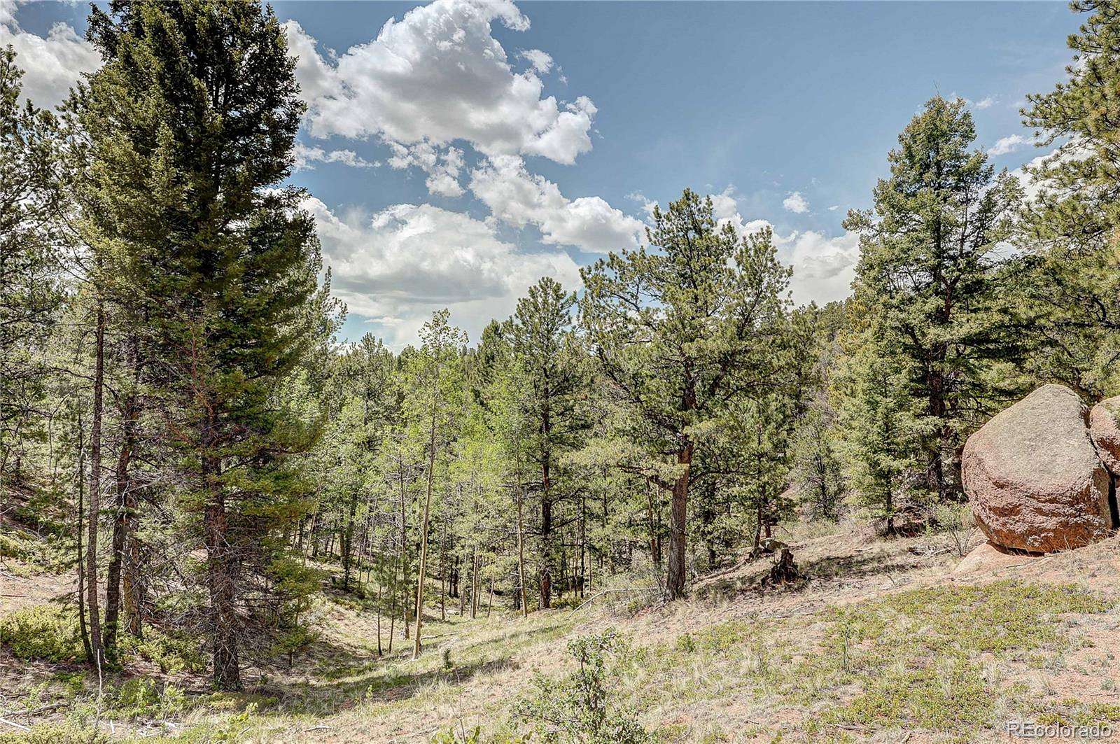 35 Acres of Recreational Land for Sale in Divide, Colorado