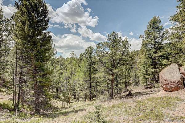 35 Acres of Recreational Land for Sale in Divide, Colorado