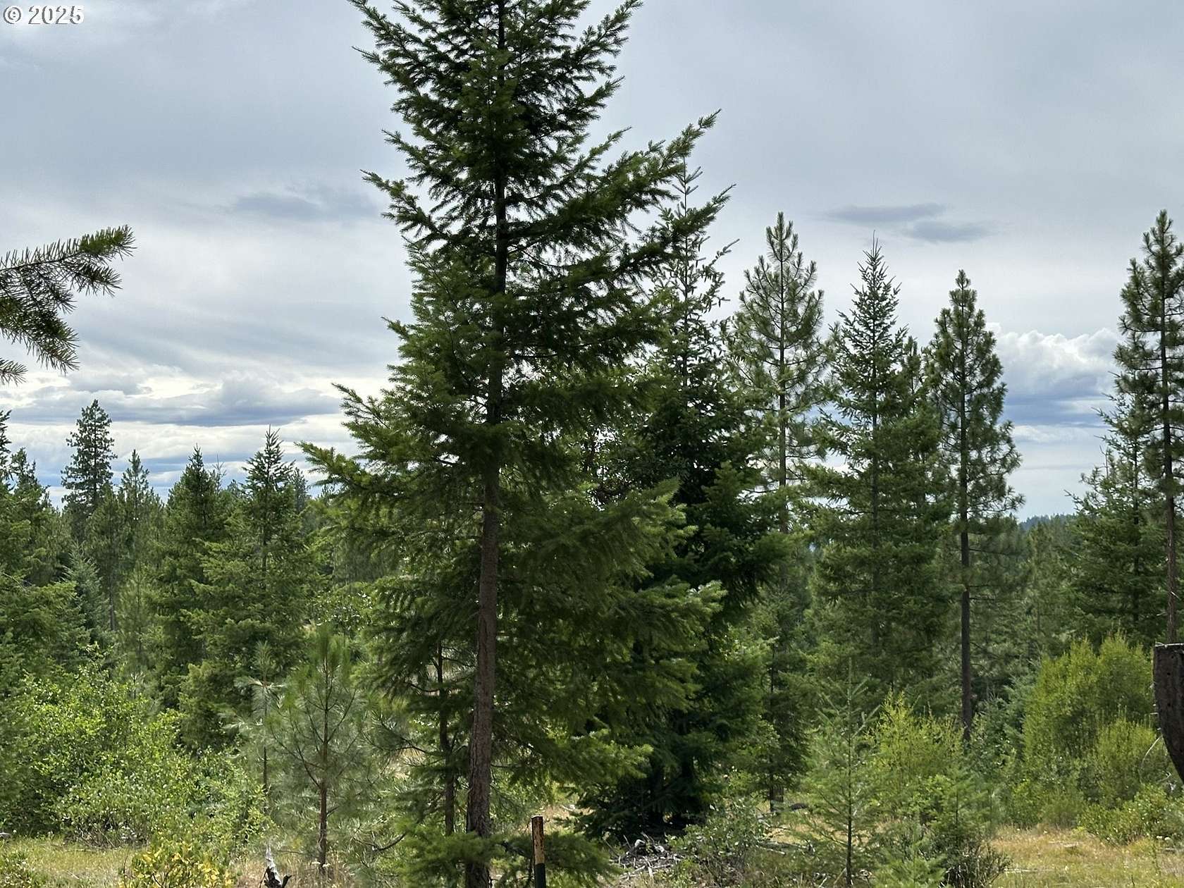 18.4 Acres of Land for Sale in Goldendale, Washington