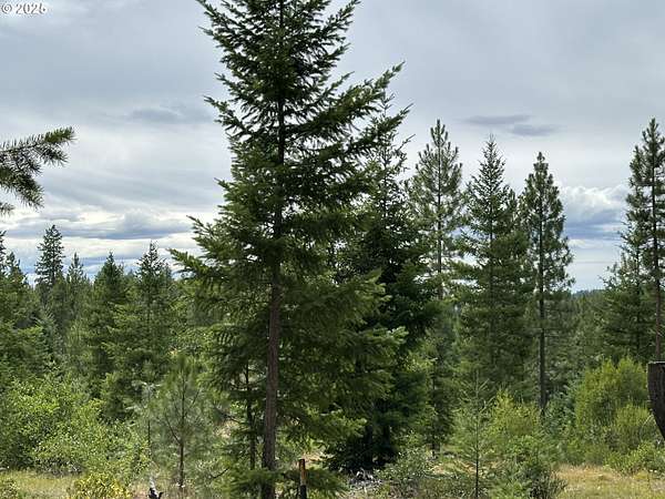 18.4 Acres of Land for Sale in Goldendale, Washington