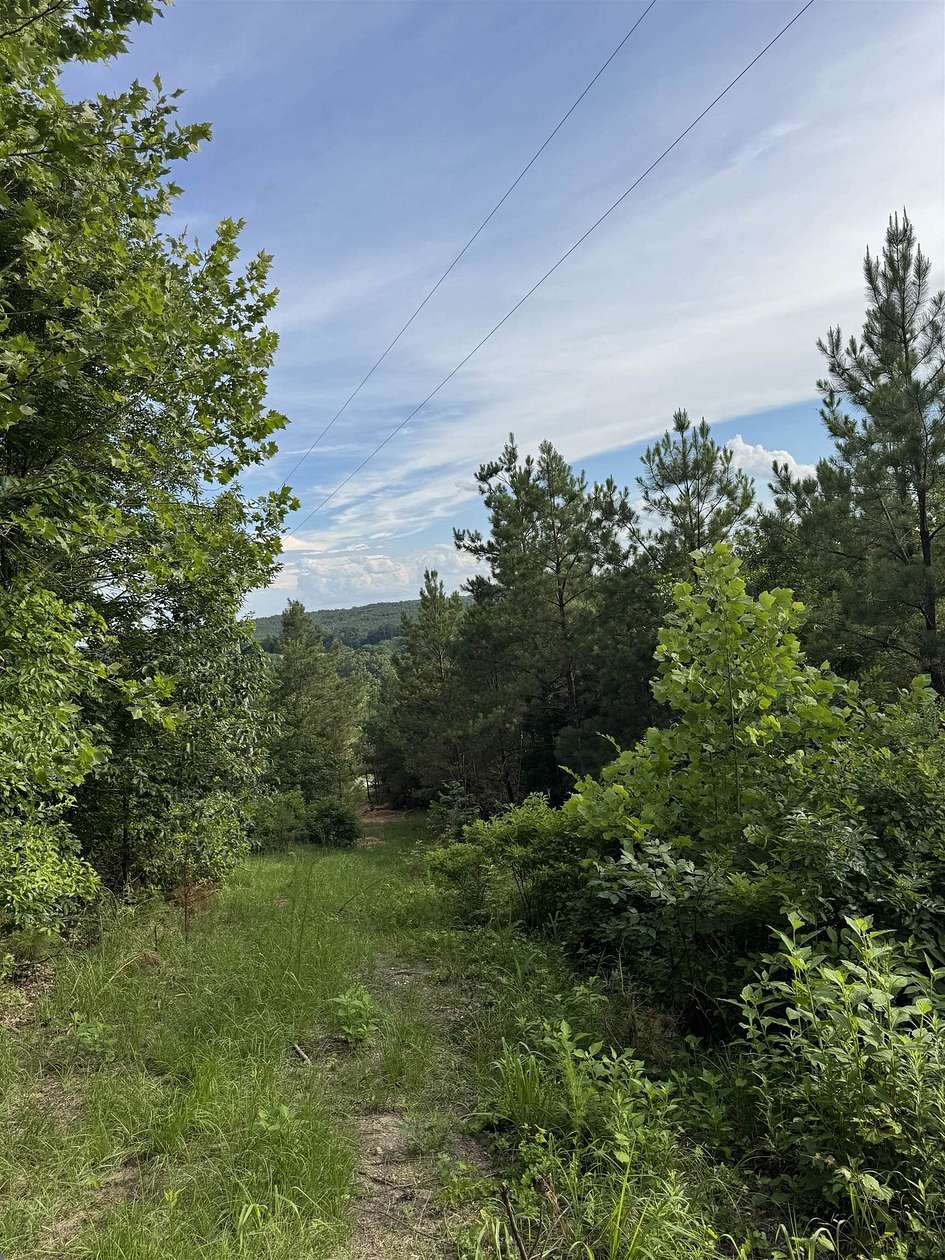 10.5 Acres of Land for Sale in Vina, Alabama