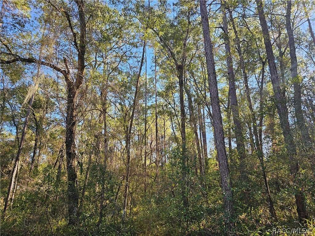0.22 Acres of Residential Land for Sale in Inverness, Florida