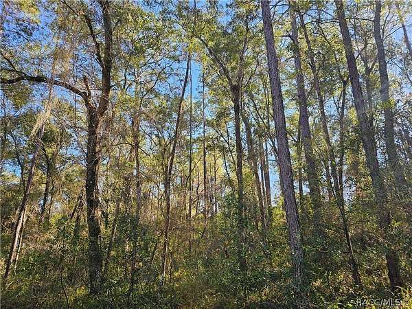 0.22 Acres of Residential Land for Sale in Inverness, Florida