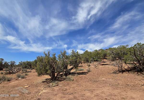 40 Acres of Recreational & Residential Land for Sale in Snowflake, Arizona