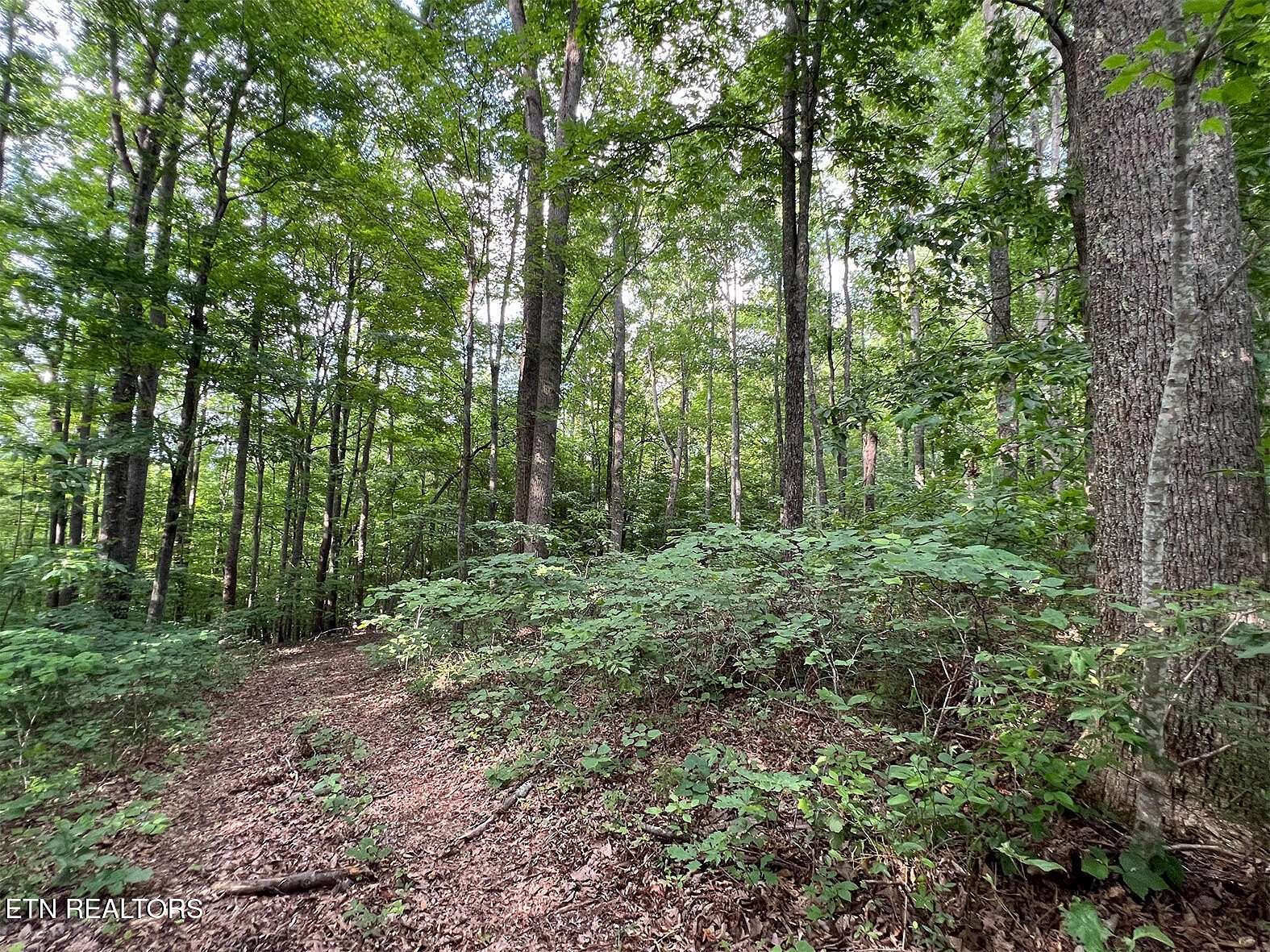 3.1 Acres of Residential Land for Sale in New Tazewell, Tennessee