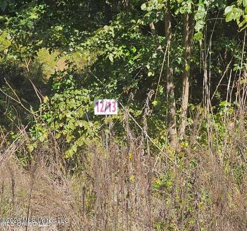 10.8 Acres of Recreational & Residential Land for Sale in Coldwater, Mississippi