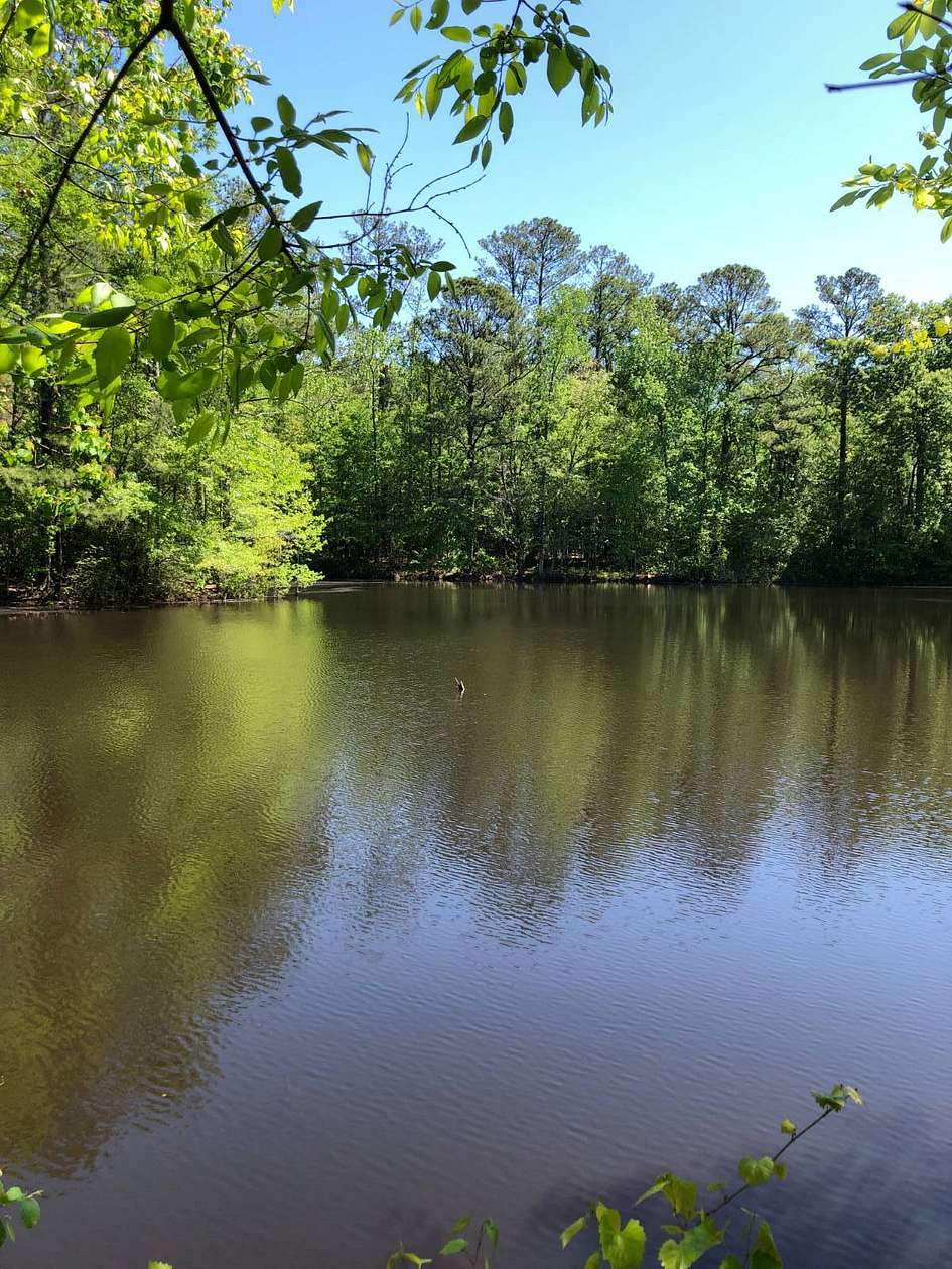 12 Acres of Recreational & Residential Land for Sale in Greenville, Alabama