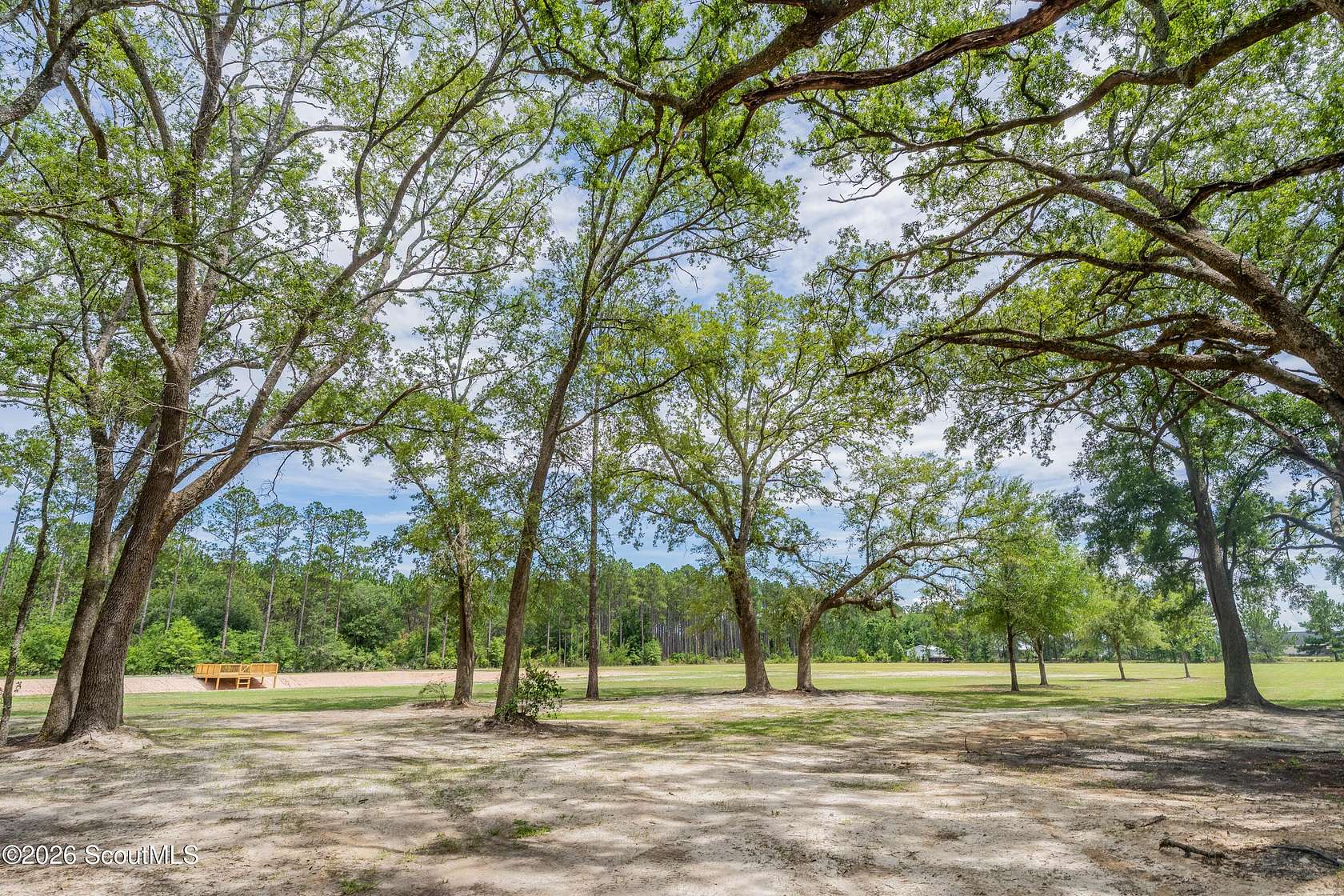 8.9 Acres of Land for Sale in Blackshear, Georgia