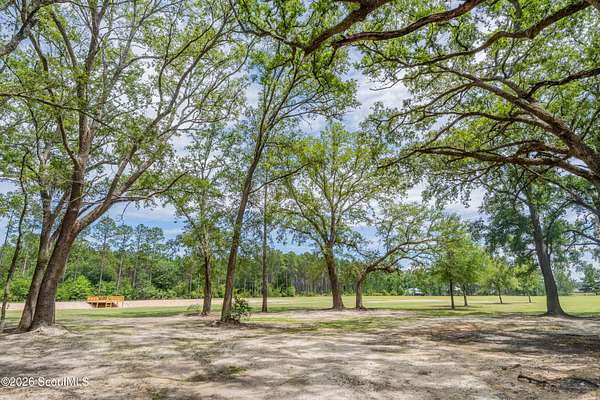 8.9 Acres of Land for Sale in Blackshear, Georgia