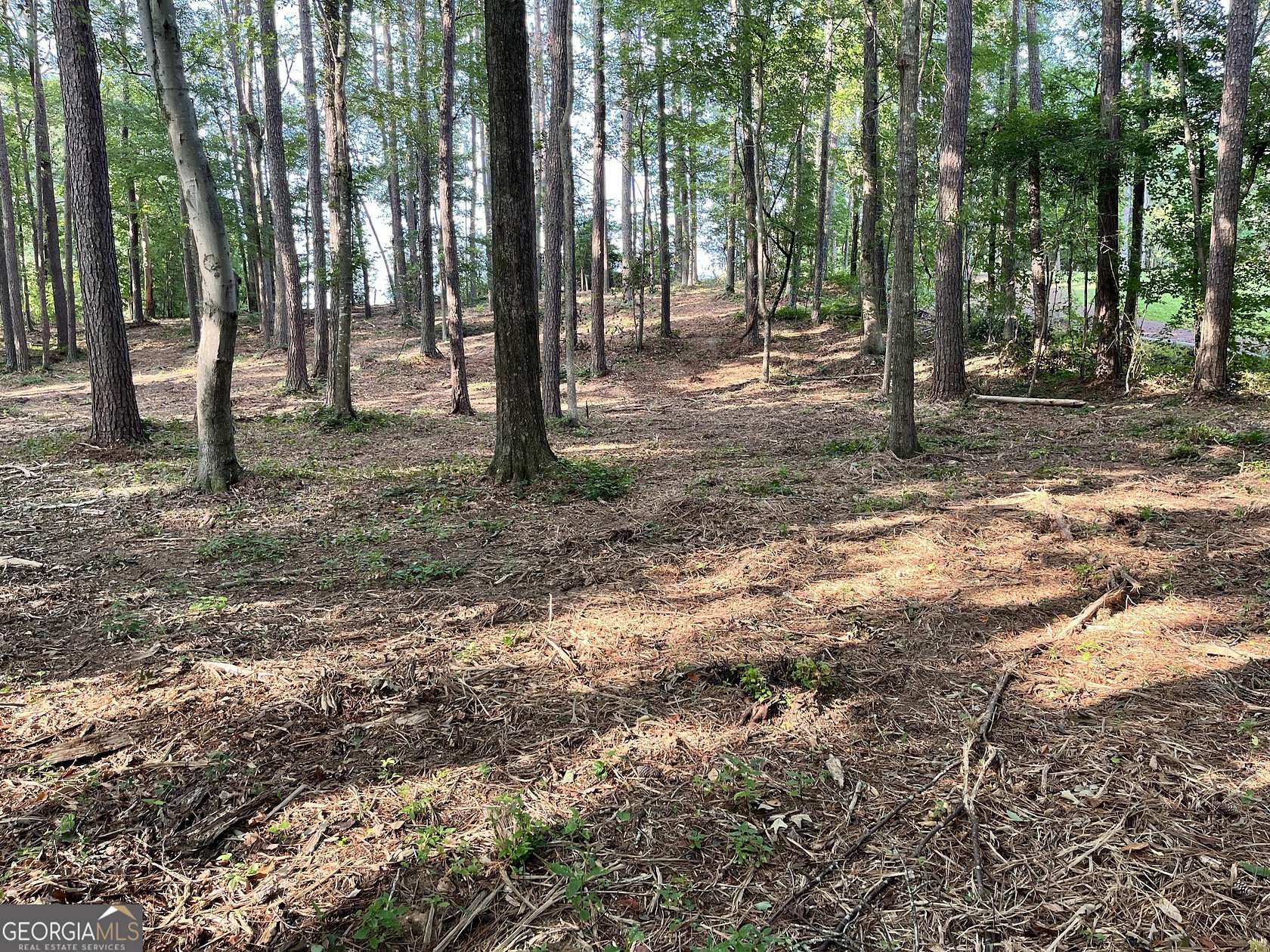 1.12 Acres of Residential Land for Sale in Rome, Georgia