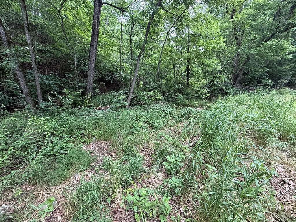 1 Acre of Land for Sale in Seligman, Missouri