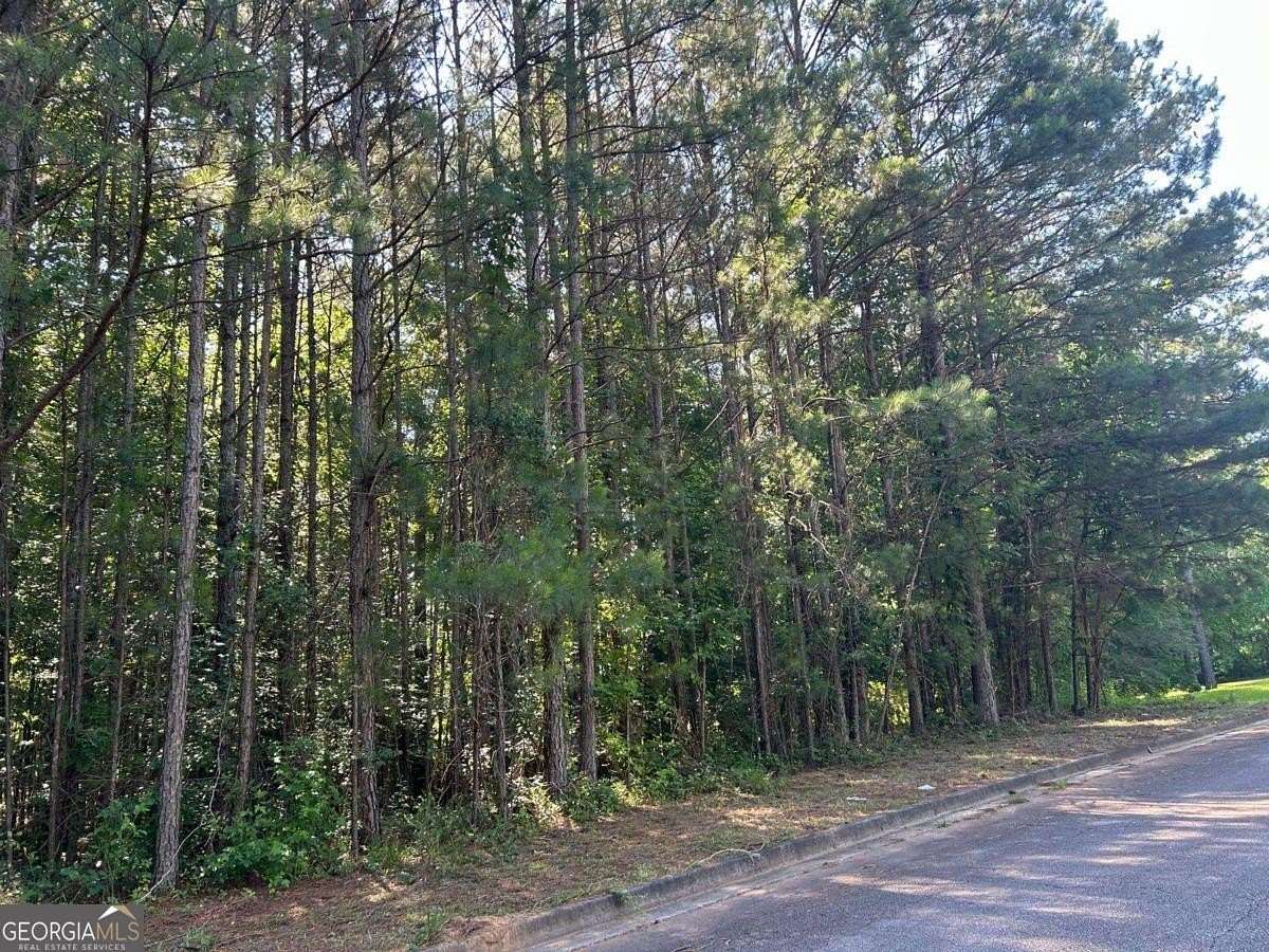 1.33 Acres of Residential Land for Sale in Hampton, Georgia