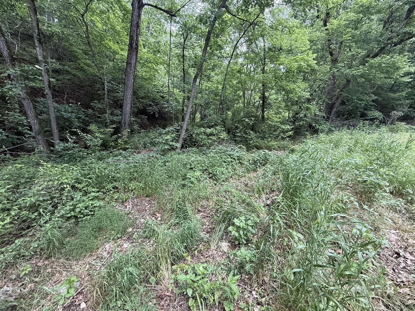 1 Acre of Land for Sale in Seligman, Missouri