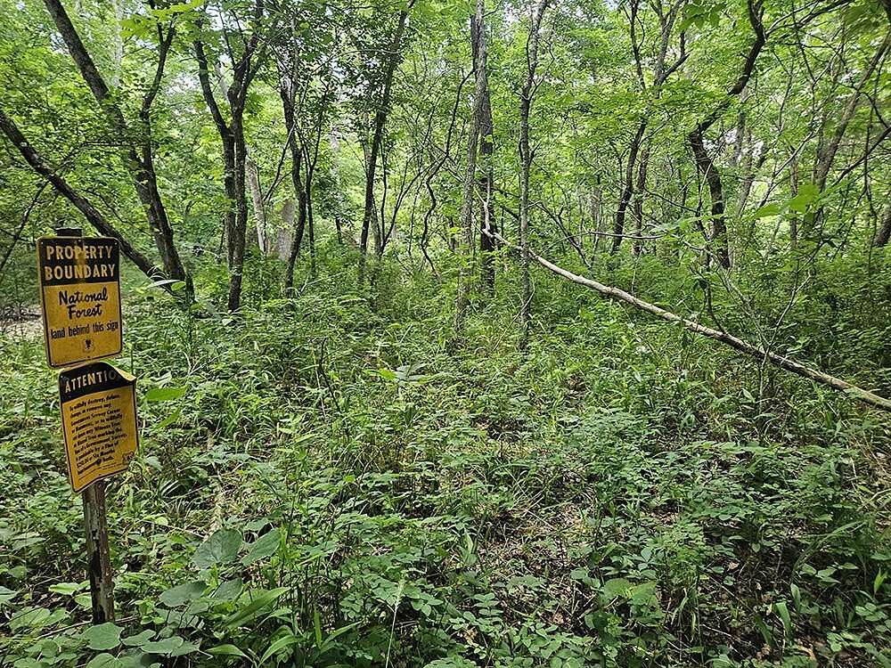 157 Acres of Recreational Land for Sale in Plato, Missouri
