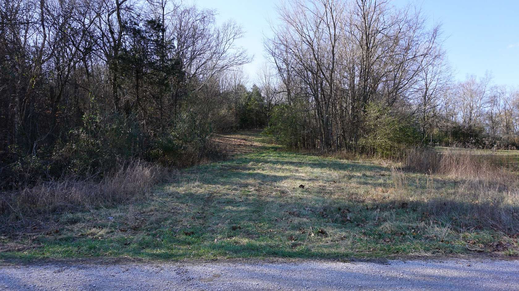 47 Acres of Land for Sale in Columbia, Tennessee