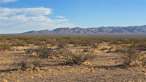 40 Acres of Land for Sale in Yucca, Arizona