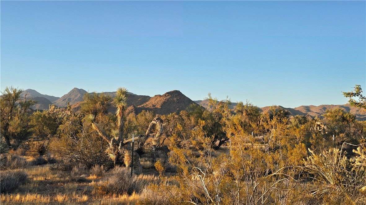40 Acres of Land for Sale in Yucca, Arizona