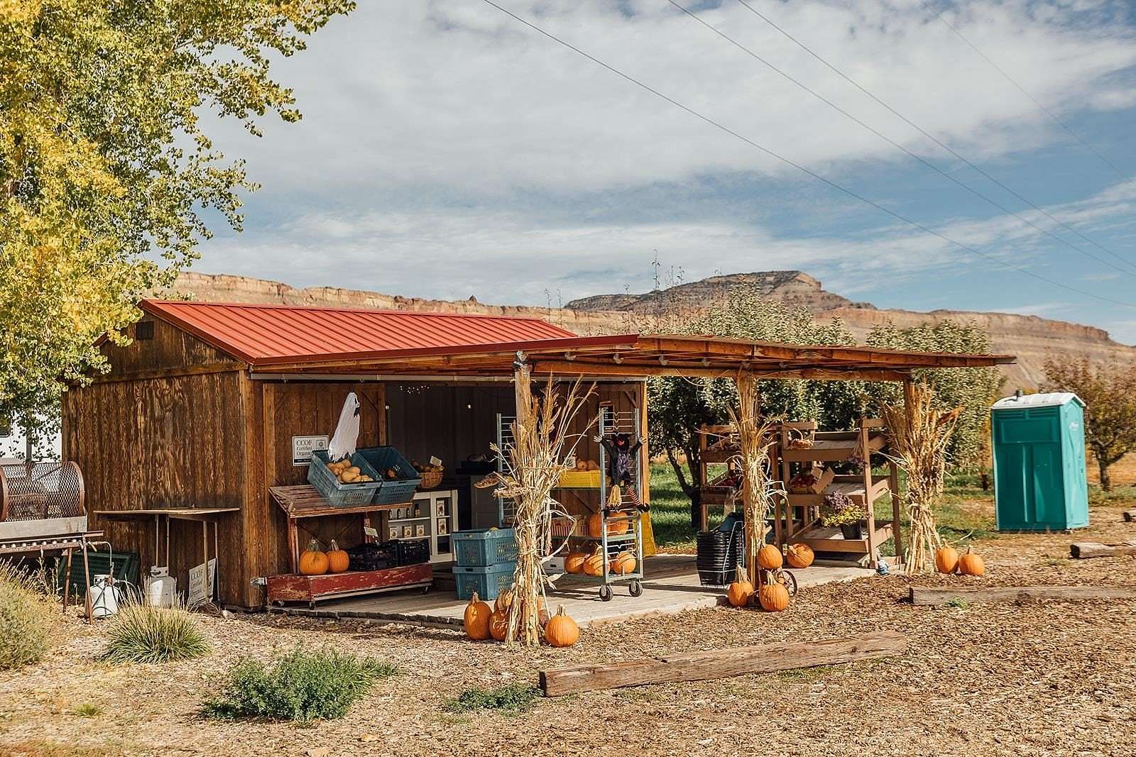 6.87 Acres of Land with Home for Sale in Palisade, Colorado