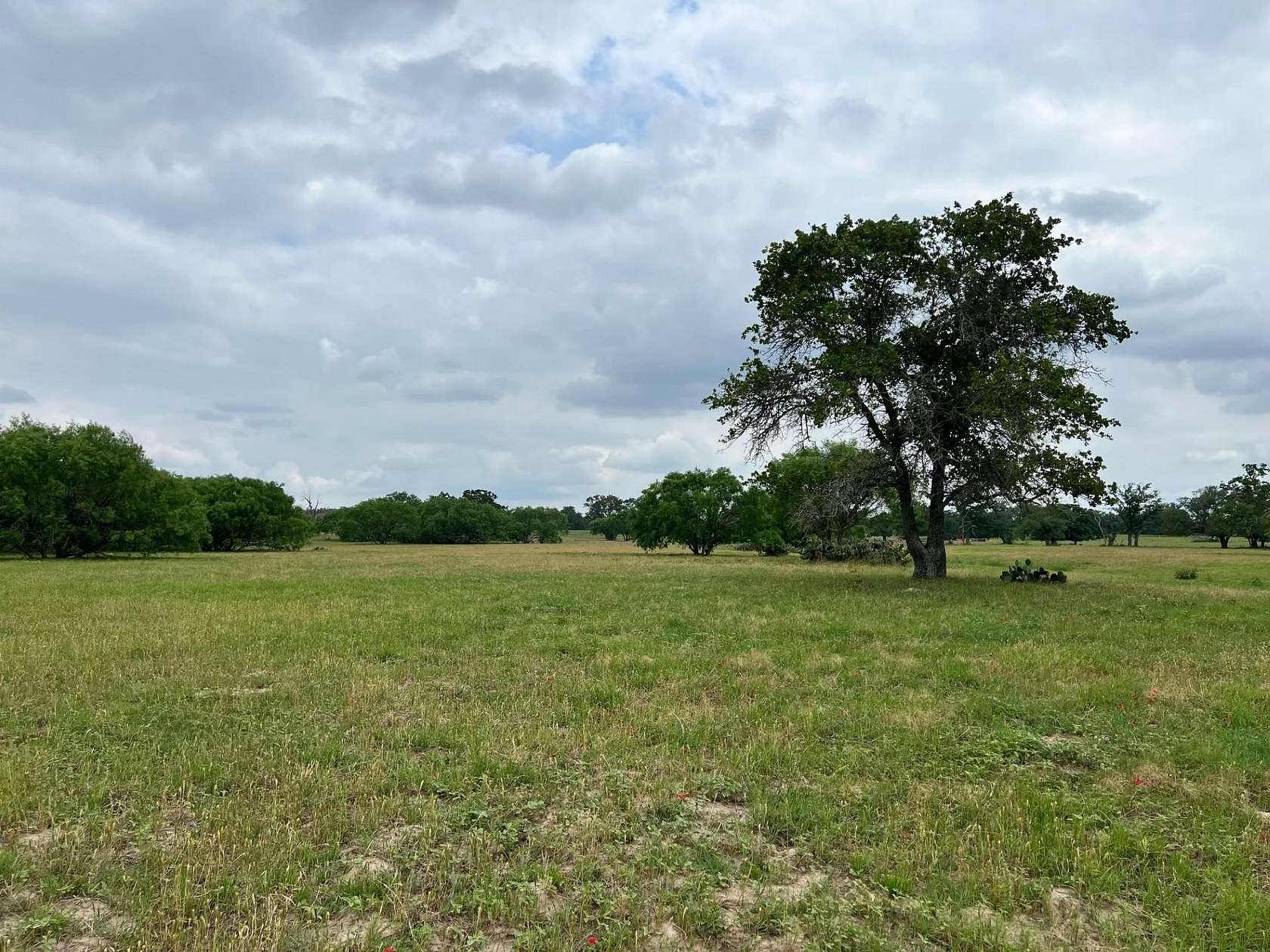 9.64 Acres of Residential Land for Sale in Luling, Texas