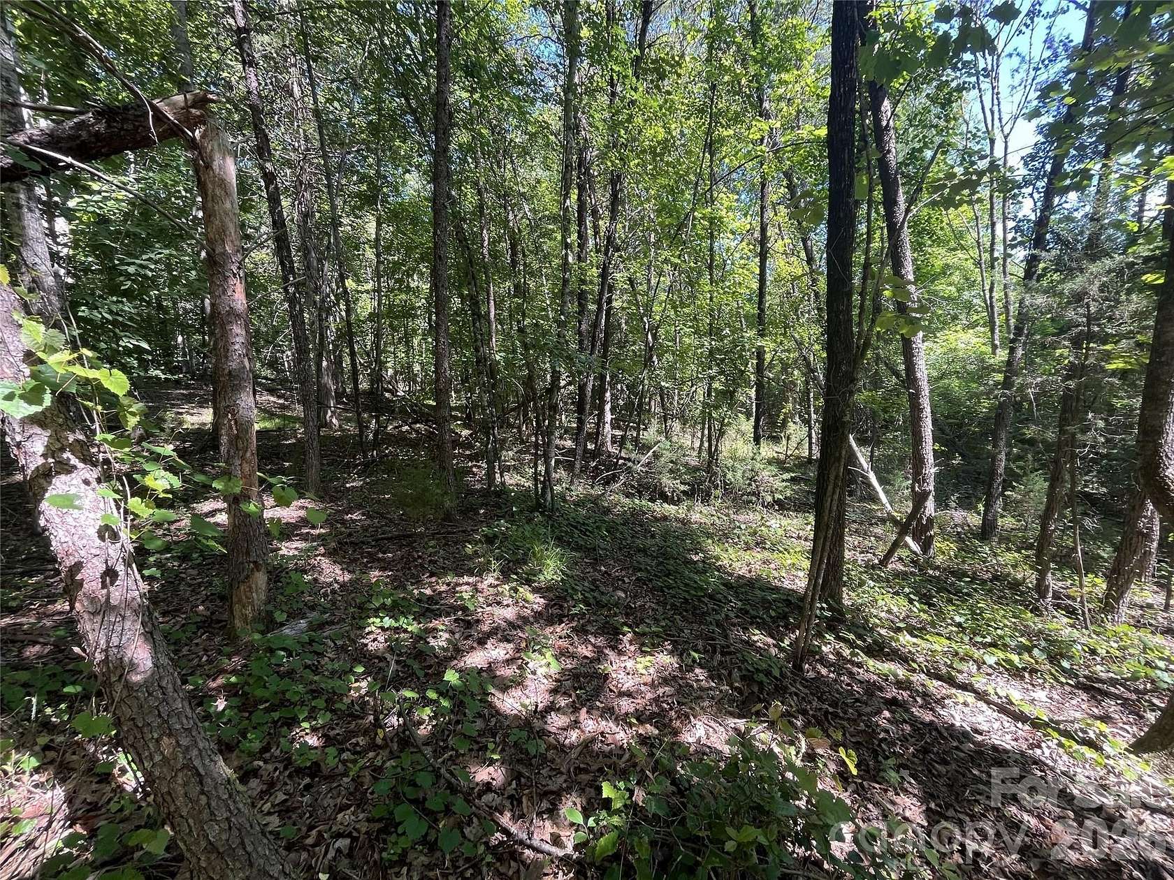 29.6 Acres of Agricultural & Residential Land for Sale in Rutherfordton, North Carolina