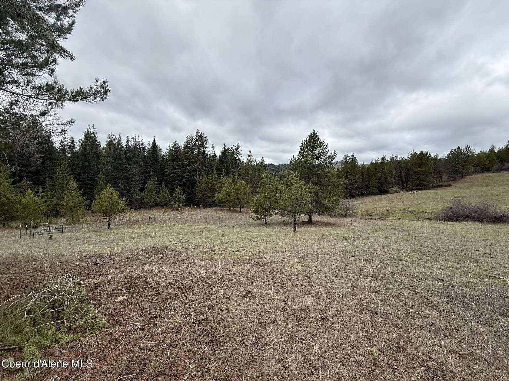 20 Acres of Recreational Land for Sale in St. Maries, Idaho