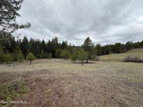 20 Acres of Recreational Land for Sale in St. Maries, Idaho