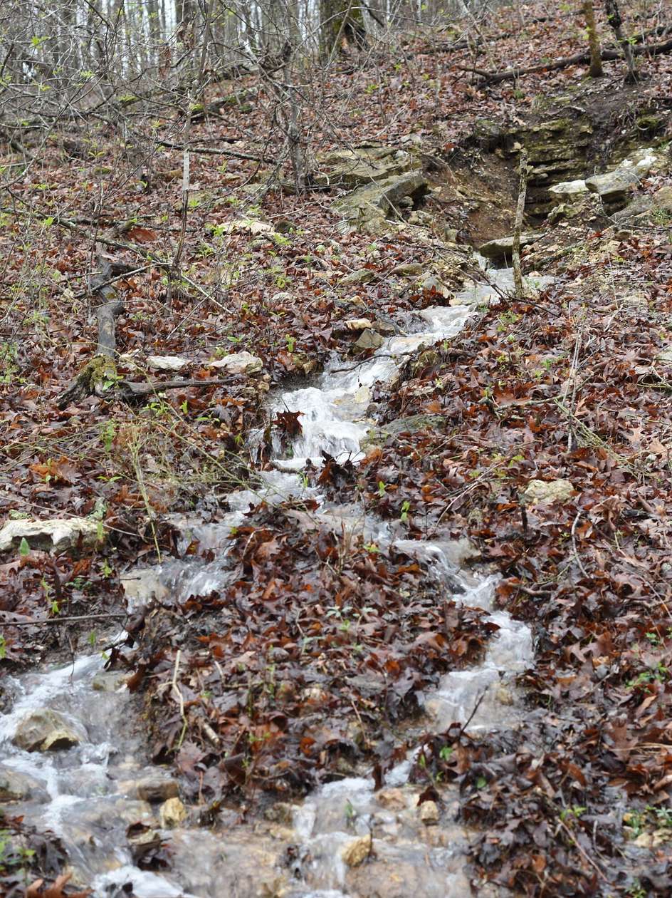 3.12 Acres of Land for Sale in Elk Creek, Missouri