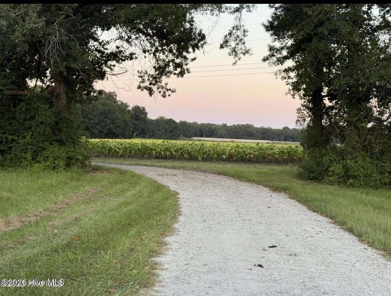 1 Acre of Residential Land for Sale in Pollocksville, North Carolina
