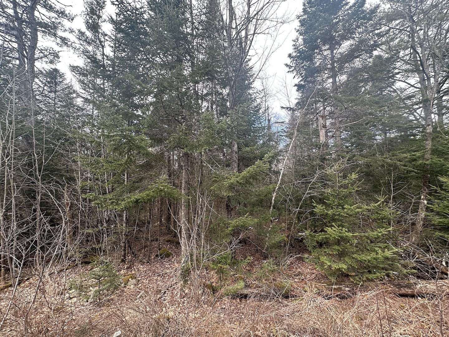 14.7 Acres of Land for Sale in Littleton, New Hampshire